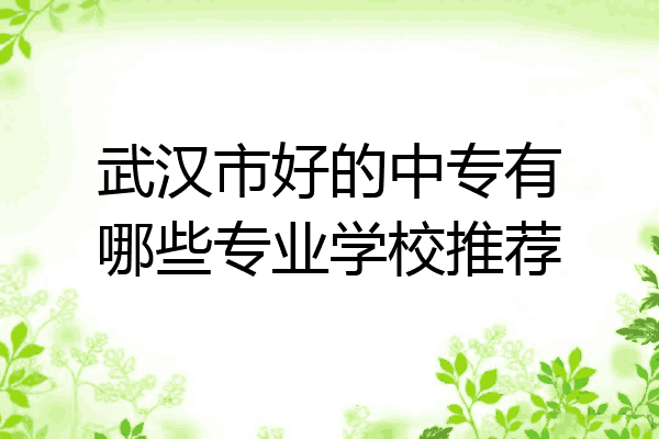 武汉市好的中专有哪些专业学校推荐