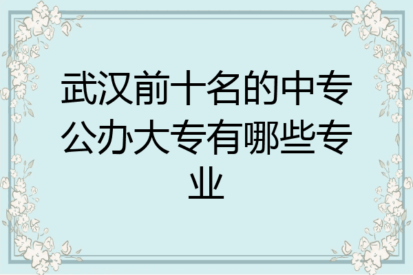 武汉前十名的中专公办大专有哪些专业