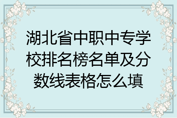 湖北省中职中专学校排名榜名单及分数线表格怎么填