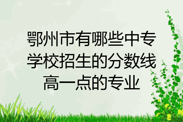 鄂州市有哪些中专学校招生的分数线高一点的专业
