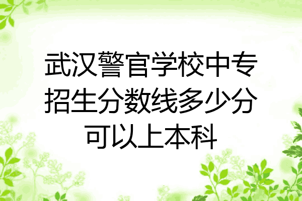 武汉警官学校中专招生分数线多少分可以上本科