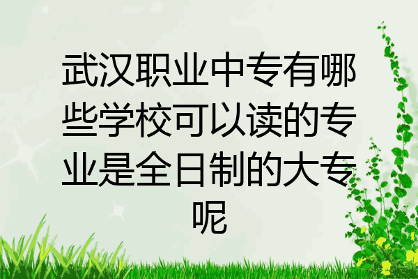 武汉职业中专有哪些学校可以读的专业是全日制的大专呢