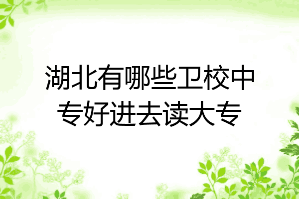 湖北有哪些卫校中专好进去读大专