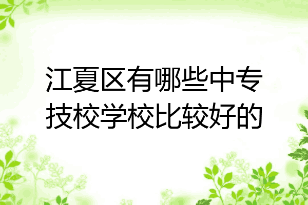 江夏区有哪些中专技校学校比较好的