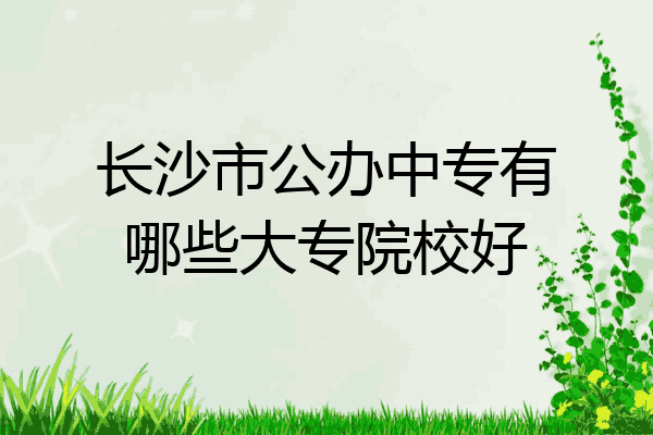 长沙市公办中专有哪些大专院校好