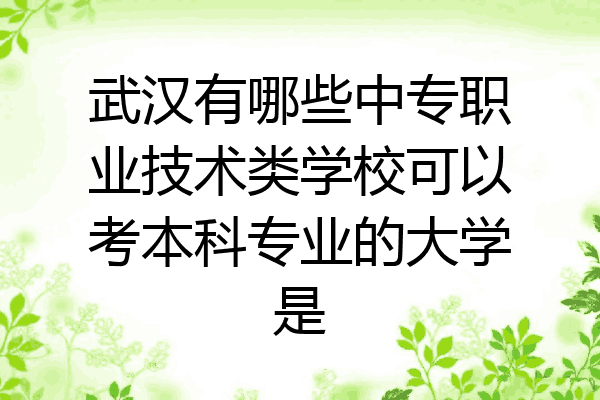 武汉有哪些中专职业技术类学校可以考本科专业的大学是