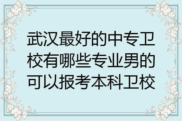 武汉最好的中专卫校有哪些专业男的可以报考本科卫校