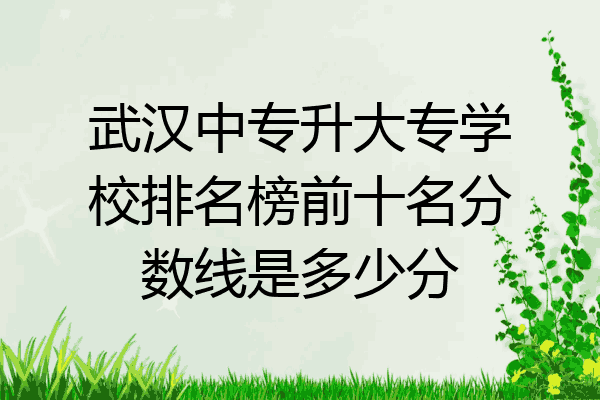 武汉中专升大专学校排名榜前十名分数线是多少分