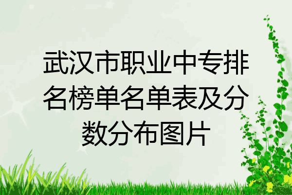 武汉市职业中专排名榜单名单表及分数分布图片