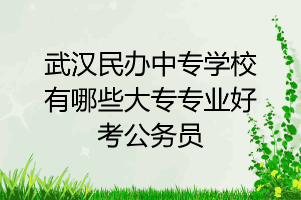 武汉民办中专学校有哪些大专专业好考公务员