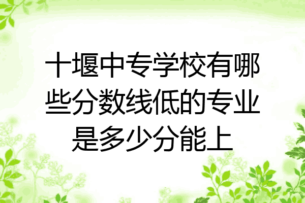 十堰中专学校有哪些分数线低的专业是多少分能上