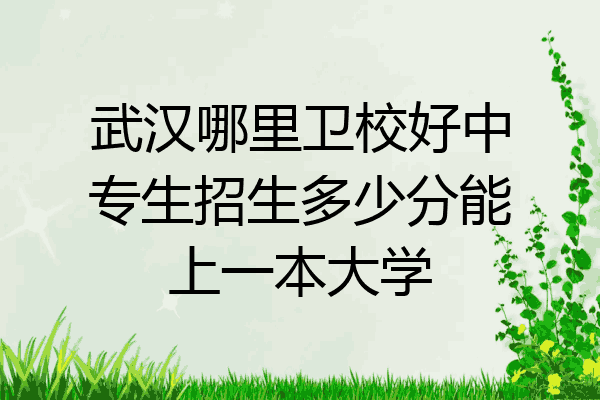 武汉哪里卫校好中专生招生多少分能上一本大学