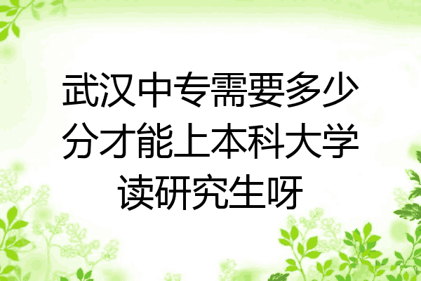 武汉中专需要多少分才能上本科大学读研究生呀