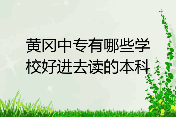 黄冈中专有哪些学校好进去读的本科