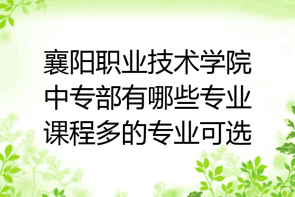 襄阳职业技术学院中专部有哪些专业课程多的专业可选
