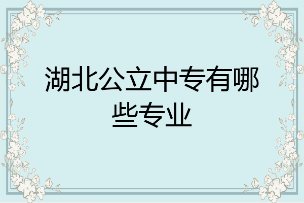 湖北公立中专有哪些专业