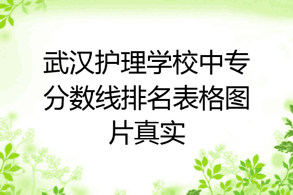 武汉护理学校中专分数线排名表格图片真实