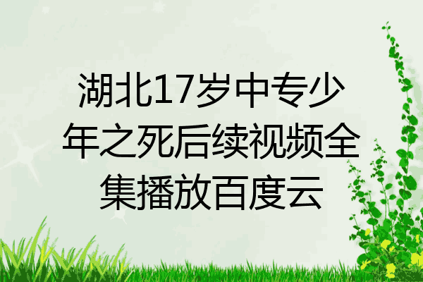 湖北17岁中专少年之死后续视频全集播放百度云