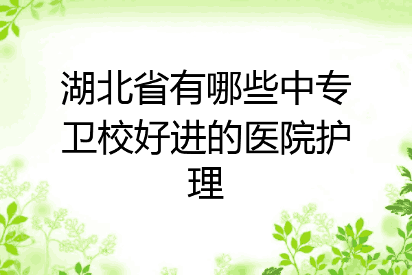 湖北省有哪些中专卫校好进的医院护理