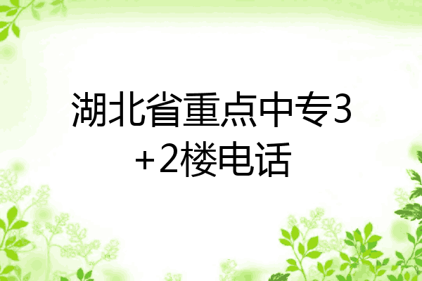 湖北省重点中专3+2楼电话