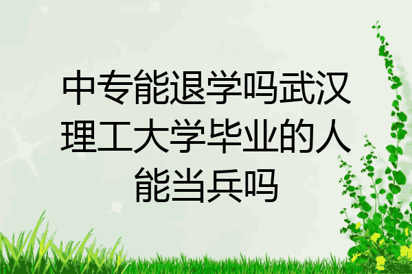 中专能退学吗武汉理工大学毕业的人能当兵吗