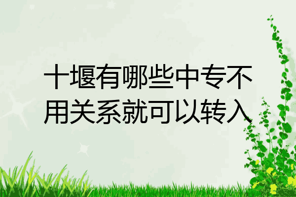 十堰有哪些中专不用关系就可以转入