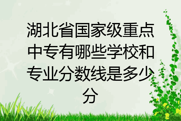 湖北省国家级重点中专有哪些学校和专业分数线是多少分