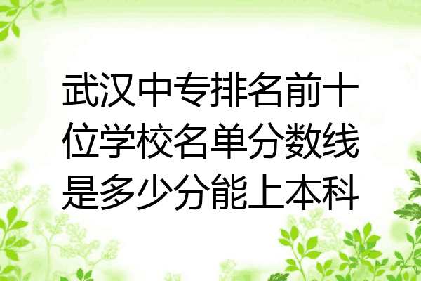 武汉中专排名前十位学校名单分数线是多少分能上本科