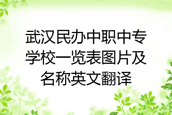 武汉民办中职中专学校一览表图片及名称英文翻译