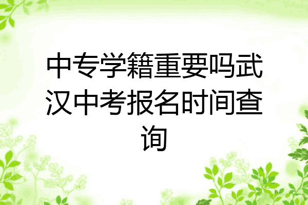 中专学籍重要吗武汉中考报名时间查询
