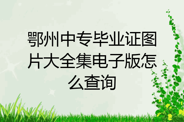 鄂州中专毕业证图片大全集电子版怎么查询