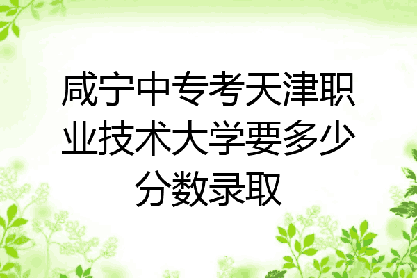 咸宁中专考天津职业技术大学要多少分数录取