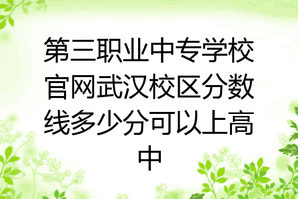 第三职业中专学校官网武汉校区分数线多少分可以上高中
