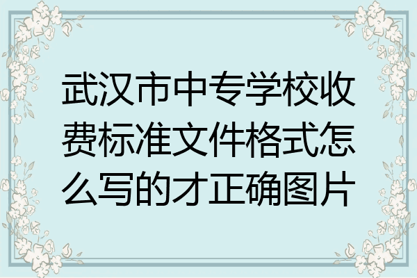武汉市中专学校收费标准文件格式怎么写的才正确图片