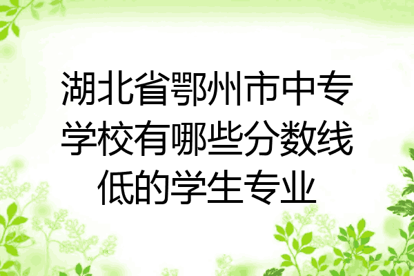 湖北省鄂州市中专学校有哪些分数线低的学生专业