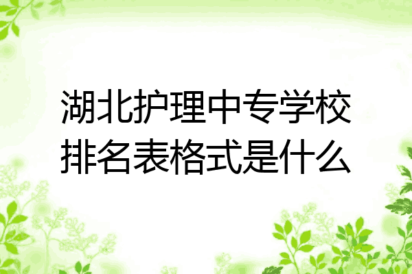 湖北护理中专学校排名表格式是什么