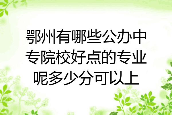 鄂州有哪些公办中专院校好点的专业呢多少分可以上