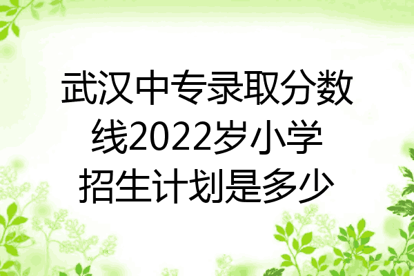 武汉中专录取分数线2022岁小学招生计划是多少