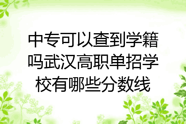 中专可以查到学籍吗武汉高职单招学校有哪些分数线