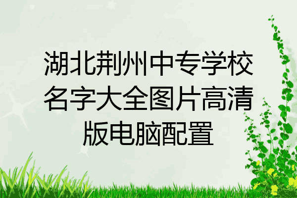 湖北荆州中专学校名字大全图片高清版电脑配置