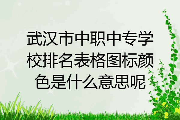 武汉市中职中专学校排名表格图标颜色是什么意思呢