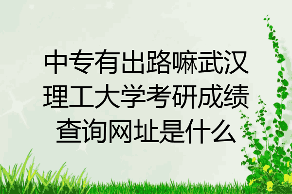 中专有出路嘛武汉理工大学考研成绩查询网址是什么