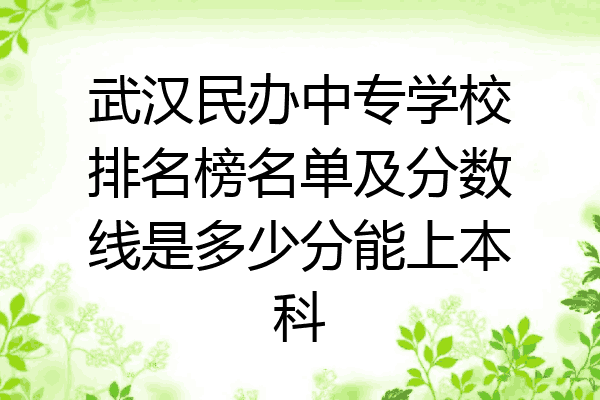 武汉民办中专学校排名榜名单及分数线是多少分能上本科