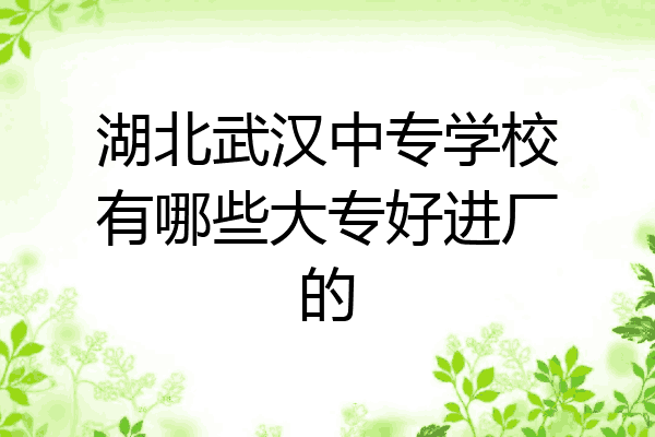 湖北武汉中专学校有哪些大专好进厂的