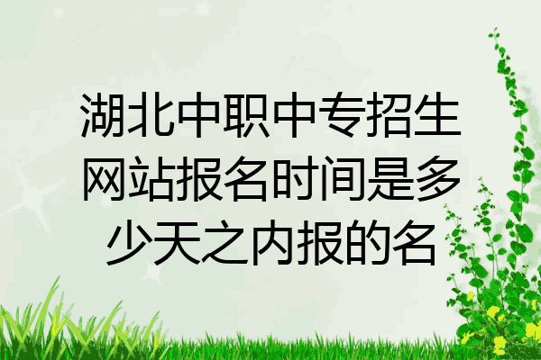 湖北中职中专招生网站报名时间是多少天之内报的名