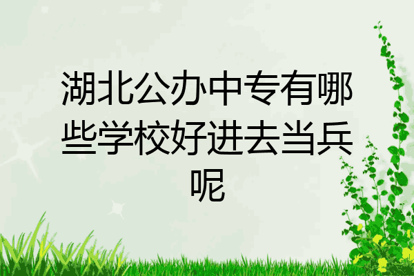 湖北公办中专有哪些学校好进去当兵呢