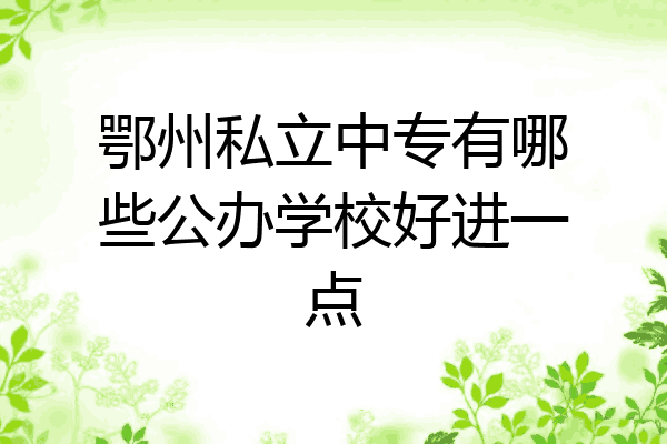 鄂州私立中专有哪些公办学校好进一点