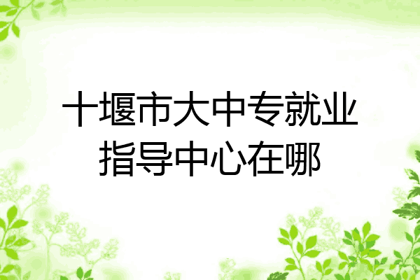 十堰市大中专就业指导中心在哪