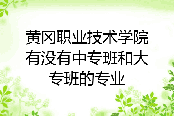 黄冈职业技术学院有没有中专班和大专班的专业