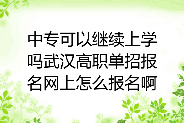 中专可以继续上学吗武汉高职单招报名网上怎么报名啊